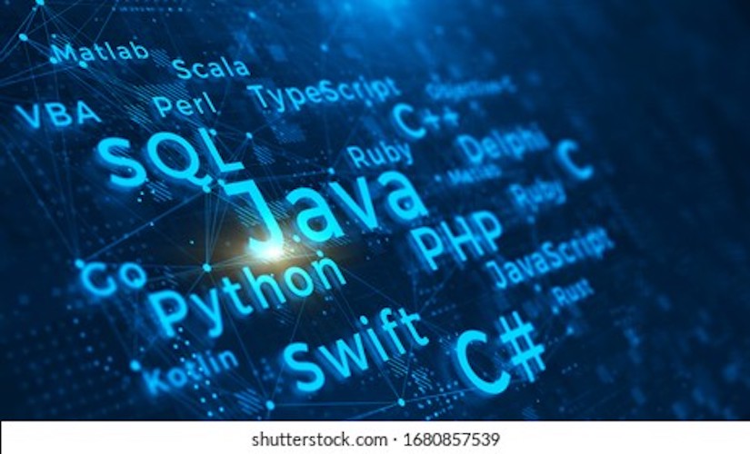 Website development