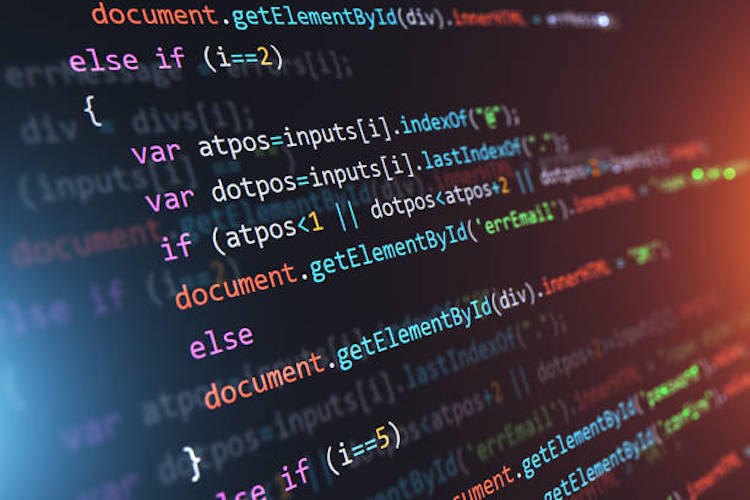 Website development